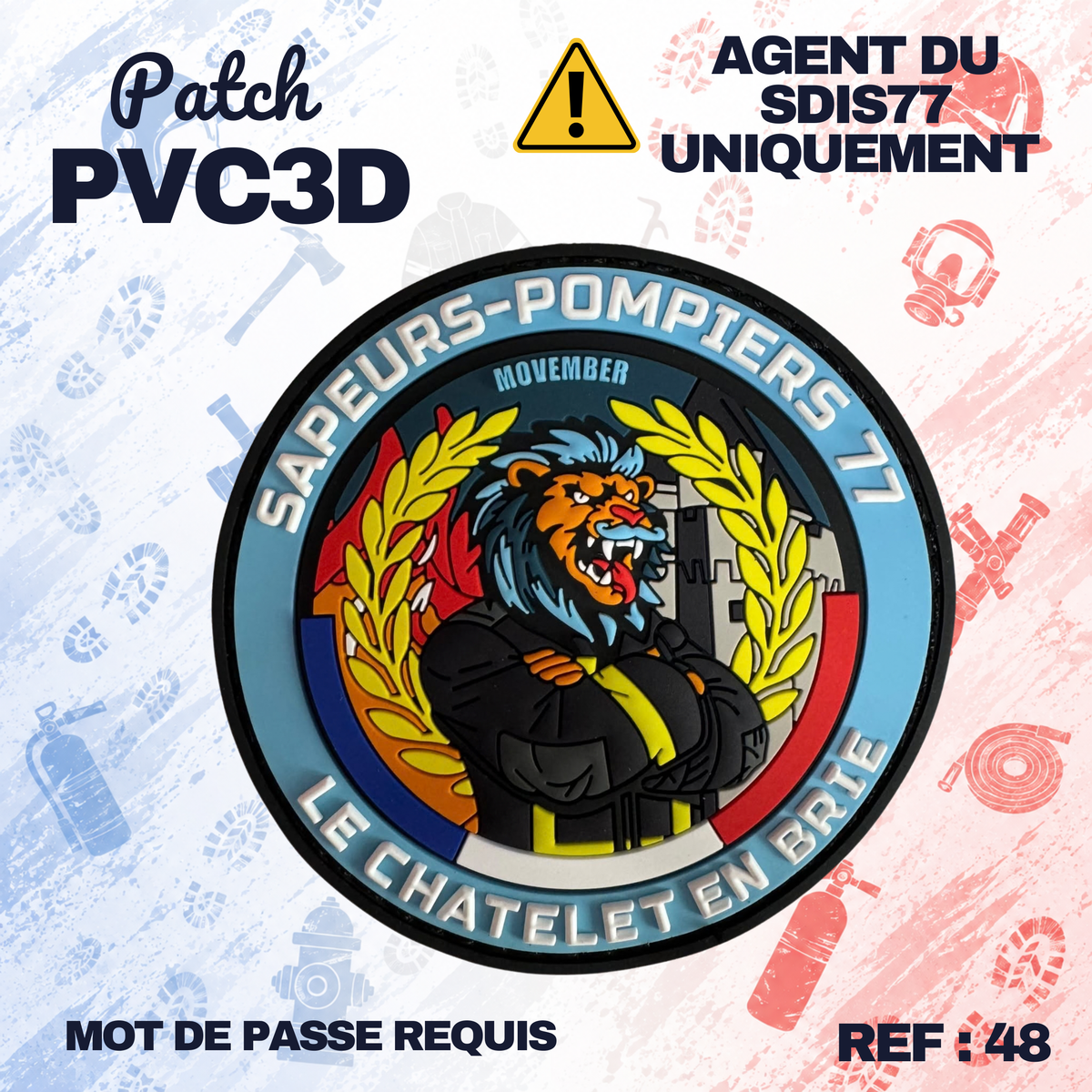 ECUSSON SDIS77 - CHATELET-EN-BRIE MOVEMBER