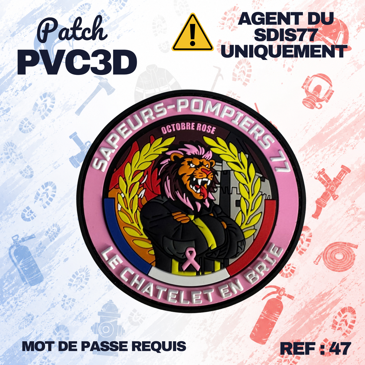 ECUSSON SDIS77 - CHATELET-EN-BRIE OCTOBRE ROSE