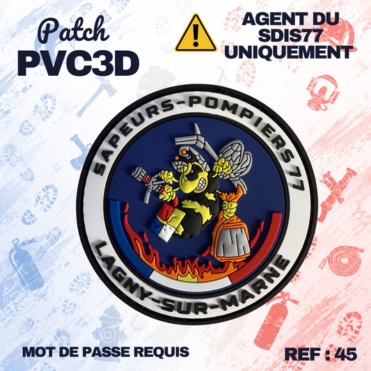 ECUSSON SDIS77 - LAGNY SUR MARNE
